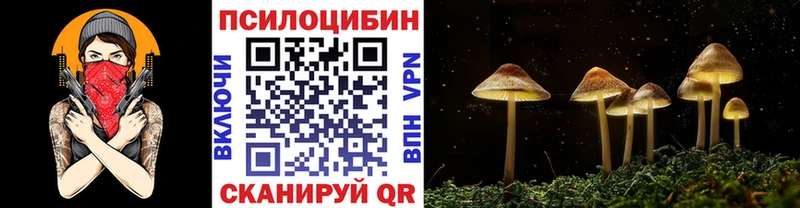 Псилоцибиновые грибы прущие грибы  Губаха 